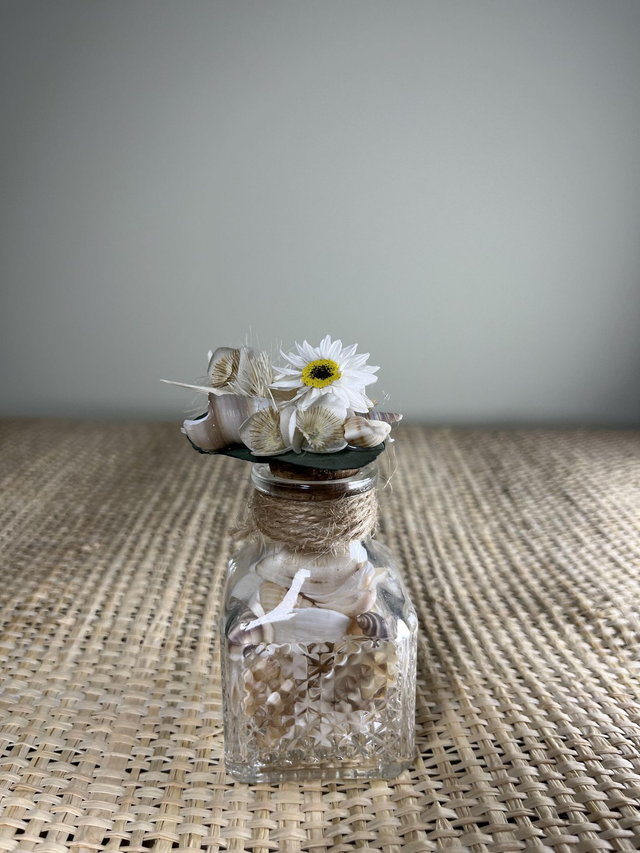 Coquillages fleuris "MARGUERITE"