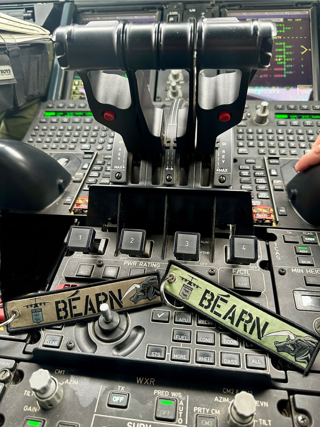 Flamme Béarn vision nocturne