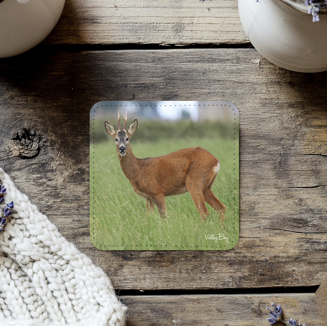 “Handsome Buck” Coaster 