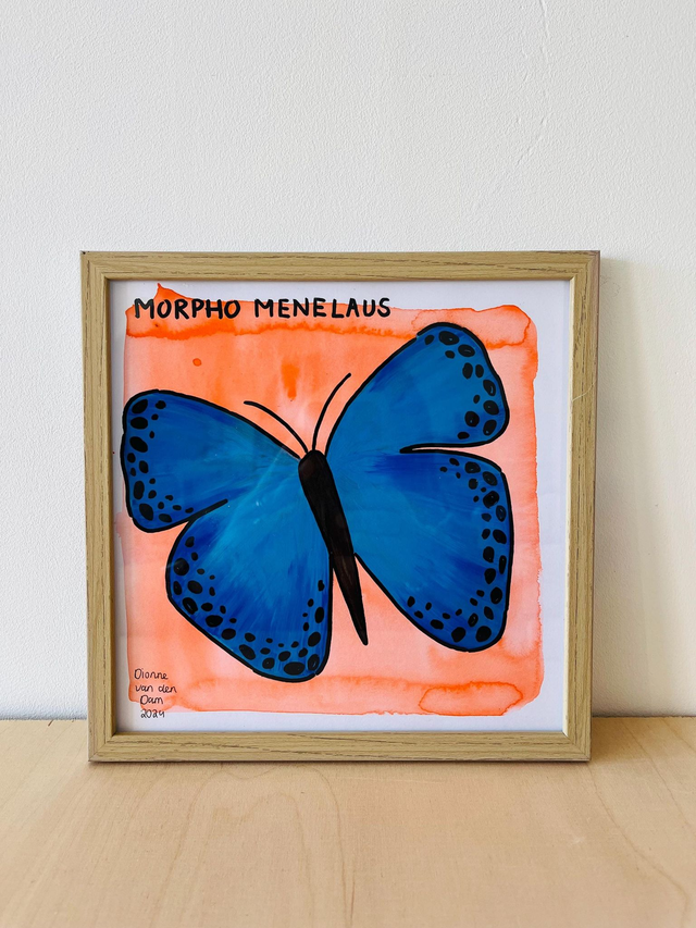 Schilderij vlinder &#039;morpho menelaus&#039;, 20 x 20 cm