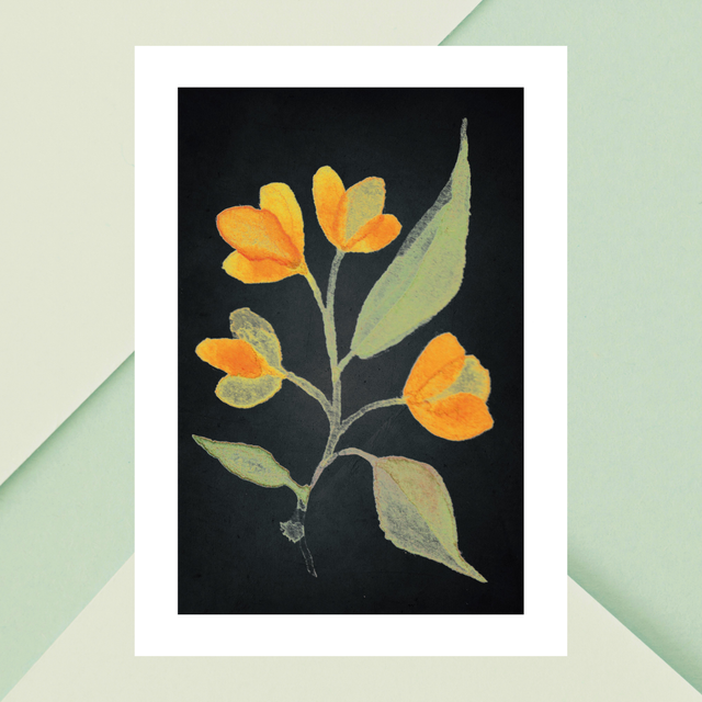 Impression Florale Aquarelle - 4 Lysimaques Jaunes sur Noir avec Bordure Blanche / 4 Yellow Loosestrife Flowers Watercolor Print - with White Border 