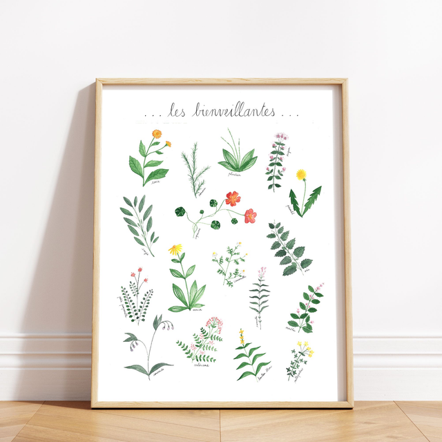 Affiche "Les bienveillantes"