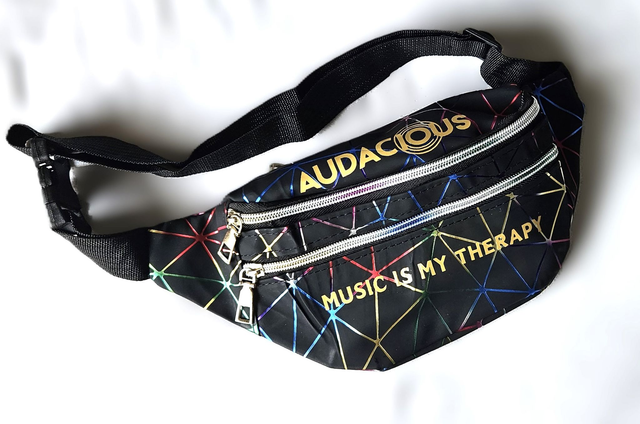 Moon bag / Fanny pack