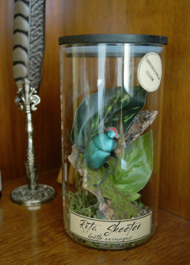 Scarabée en bocal - journaliste R.S.