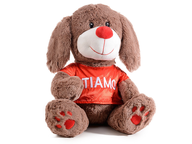 Cagnolino in peluche con T-shirt rossa e scritta Ti Amo