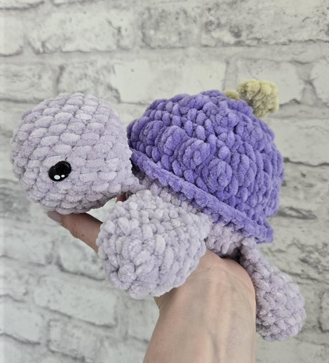 Tortue grappe de raisin