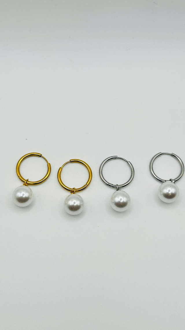 Stainless Steel Earrings (SSE49J)