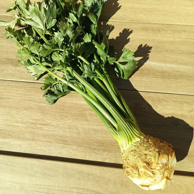 Céleri rave environ 300g 🧺