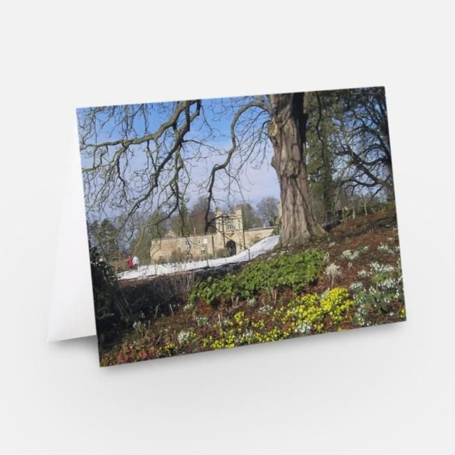 Easton Walled Garden aconite &amp; Snowdrops flowers greeting card