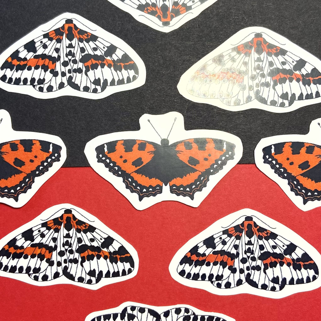 Butterfly &amp; Moth Stickers - SemiGlossy