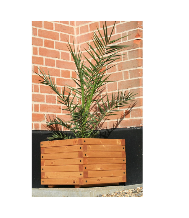 Square Wooden Planter Large - 65(L) x 65(W) x 45(H) cm Ext. Dim.