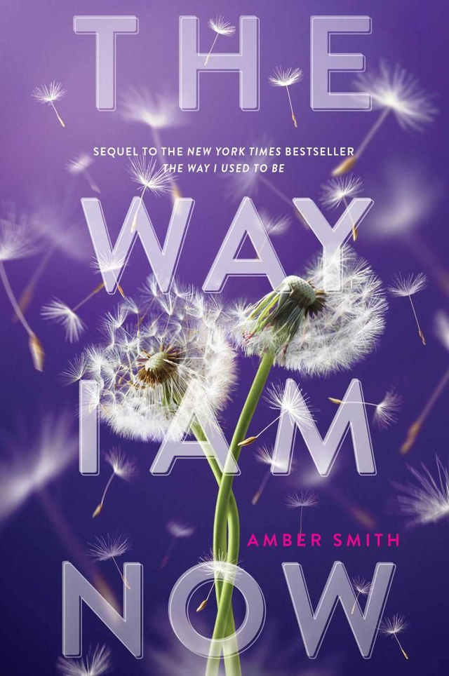 The Way I Am Now - Amber Smith
