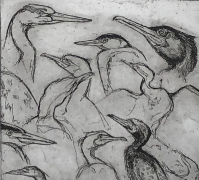 SP30 Wdig, Sketch 2  5/25 by Shelagh Popham,  Etching, 4 3/4x 4 3/4 inches