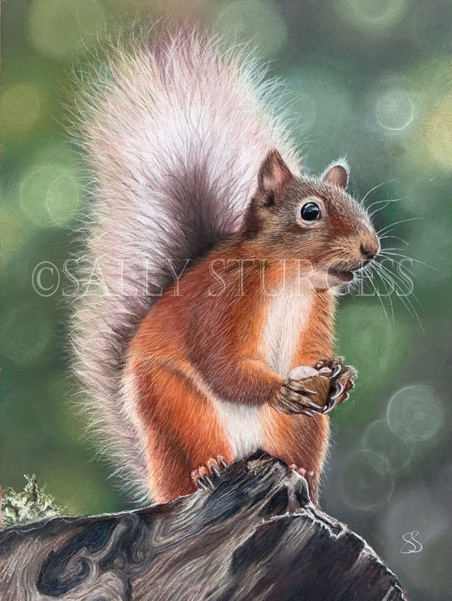 "Little Red" 6x8" Original Pastel Painting Artwork