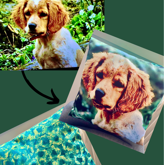 Coussin personnalisé 