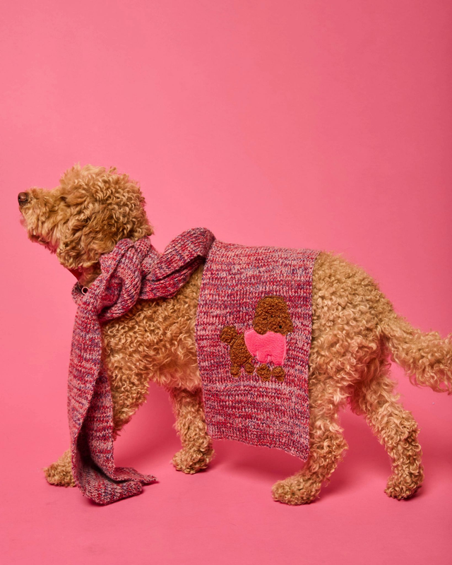 écharpe capuche rouge x thon mayo 