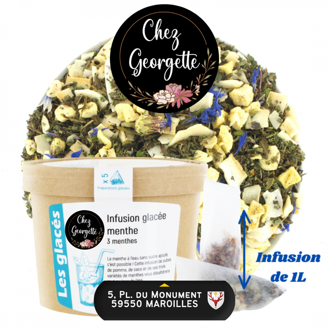 INFUSION GLACÉE MENTHE - Pot de 5 Inf. XL