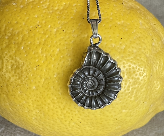 Ammonit Anhänger Fossil Silber mit filigraner Silberkette