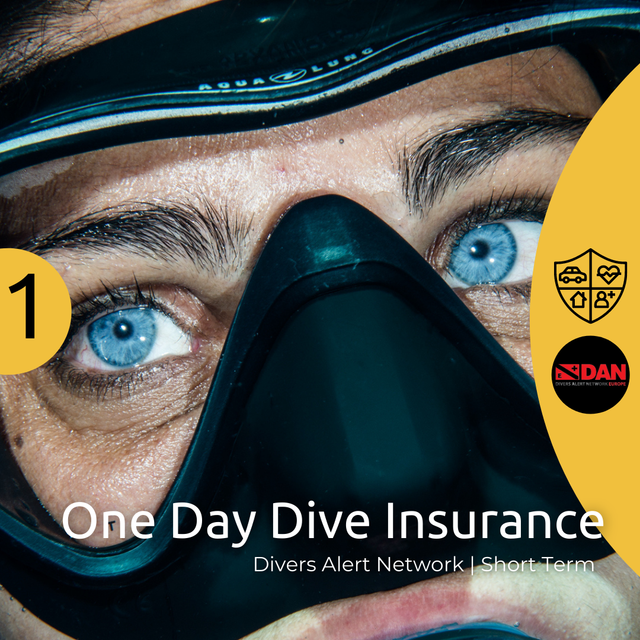 Dive Insurance