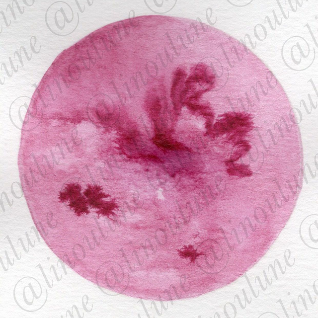 Chandra Dhyana : ton support de méditation avec la Lune