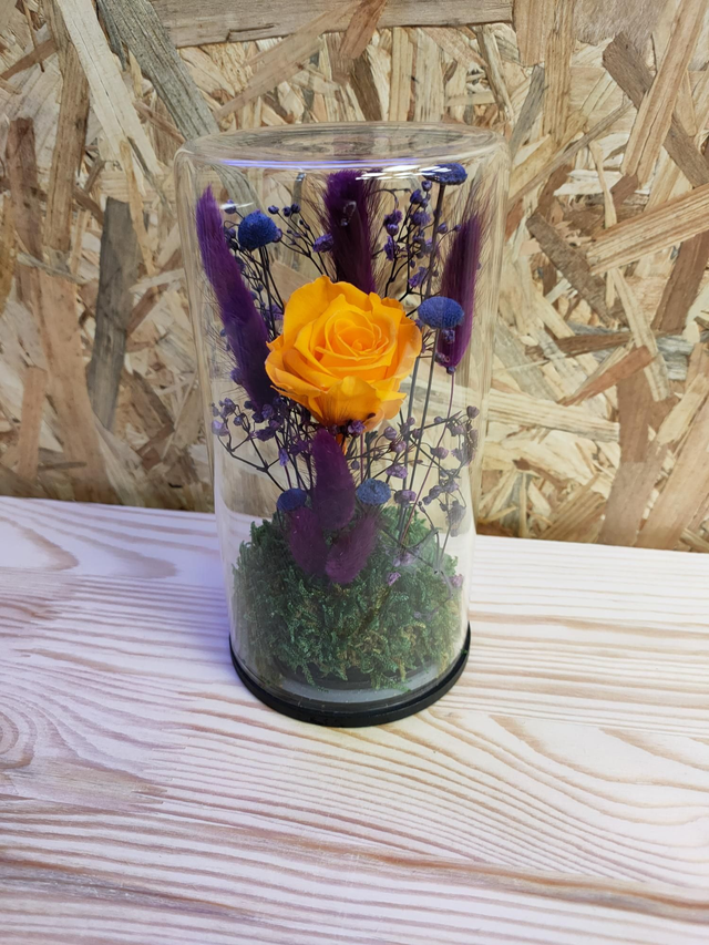 LJSDP_WEB0031 Bocal rose orange