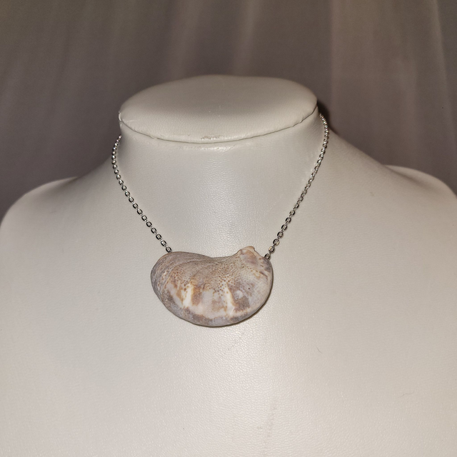 Silver chain, Large shell, Choker