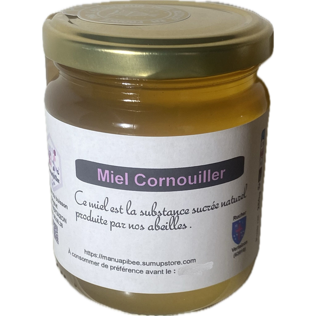Miel de Printemps (Cornouiller)