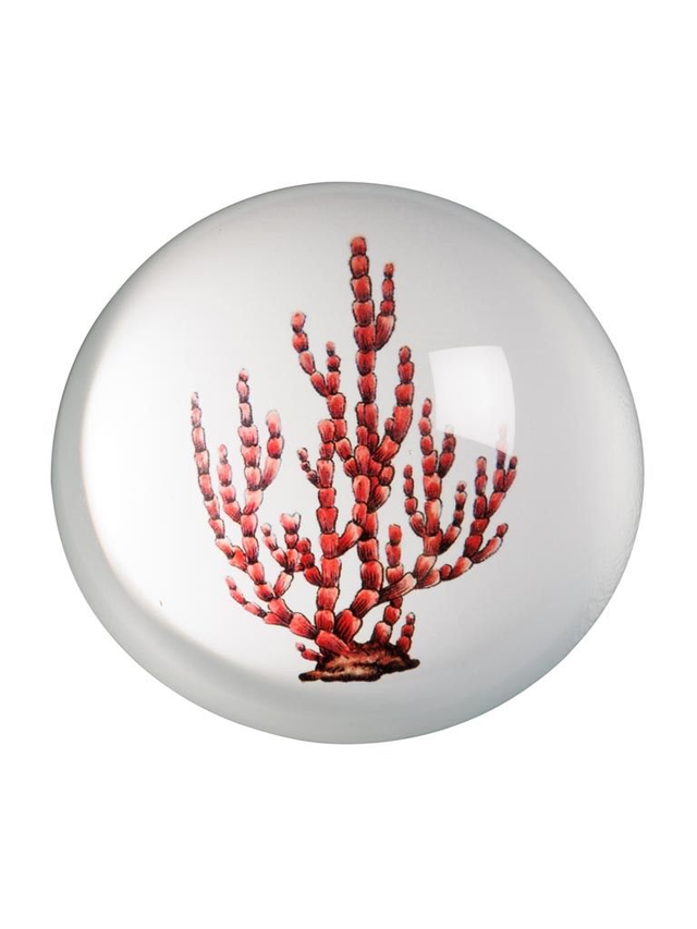 Presse papier corail