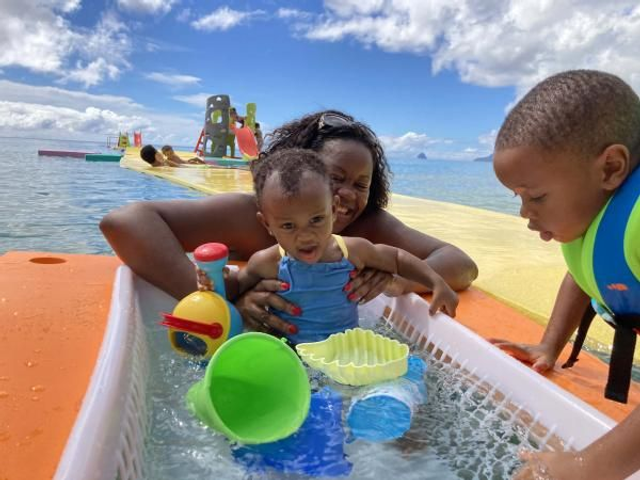 Jardin aquatique à l'unité