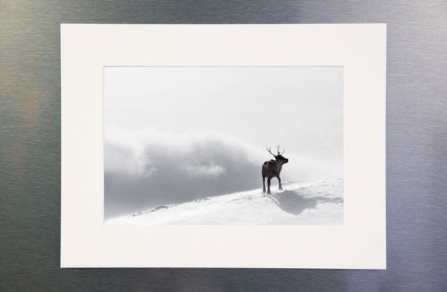 Photo &quot;La récompense&quot; avec passe-partout