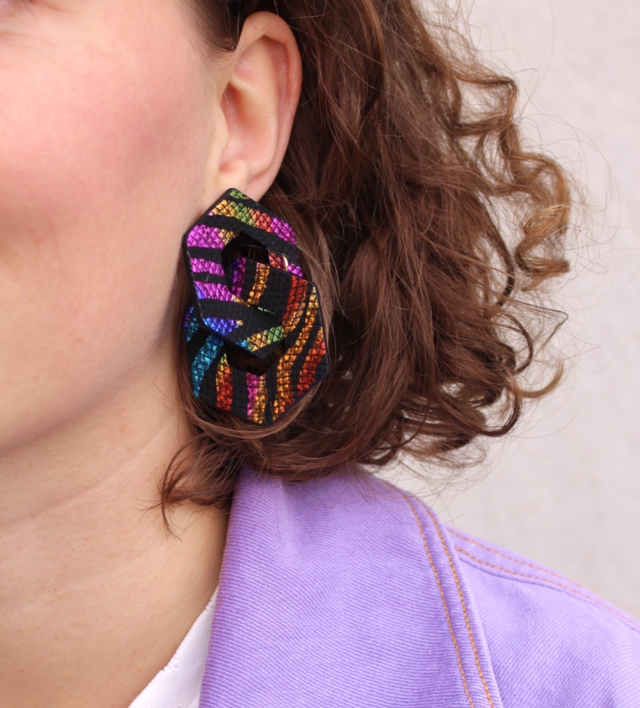 Astra • zèbre multicolore brillant