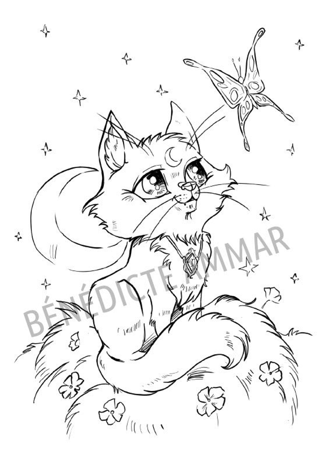 Livre de coloriages "Drôles d'animaux 2"