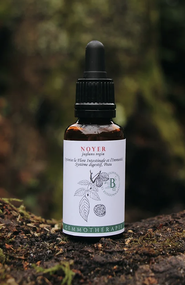 Noyer Gemmothérapie