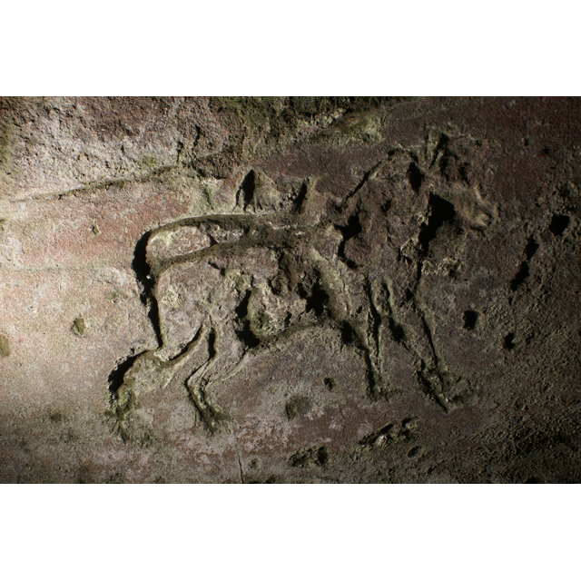 Pictish Horse or Bull in Jonathan&#039;s Cave