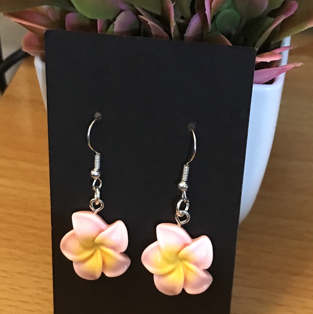 Mixed Dangling Earrings- MDE19