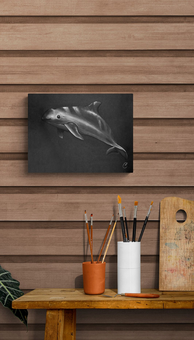 Reproduction Aquarelle Vaquita sur Alu - Tirage limité, numéroté et signé  - 30x40cm