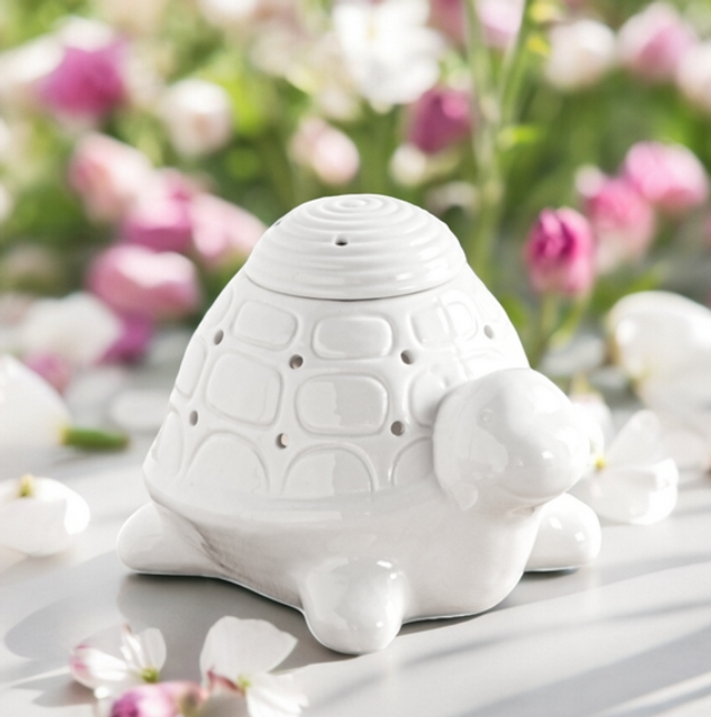 Brûleur Série Céramy - Franklin