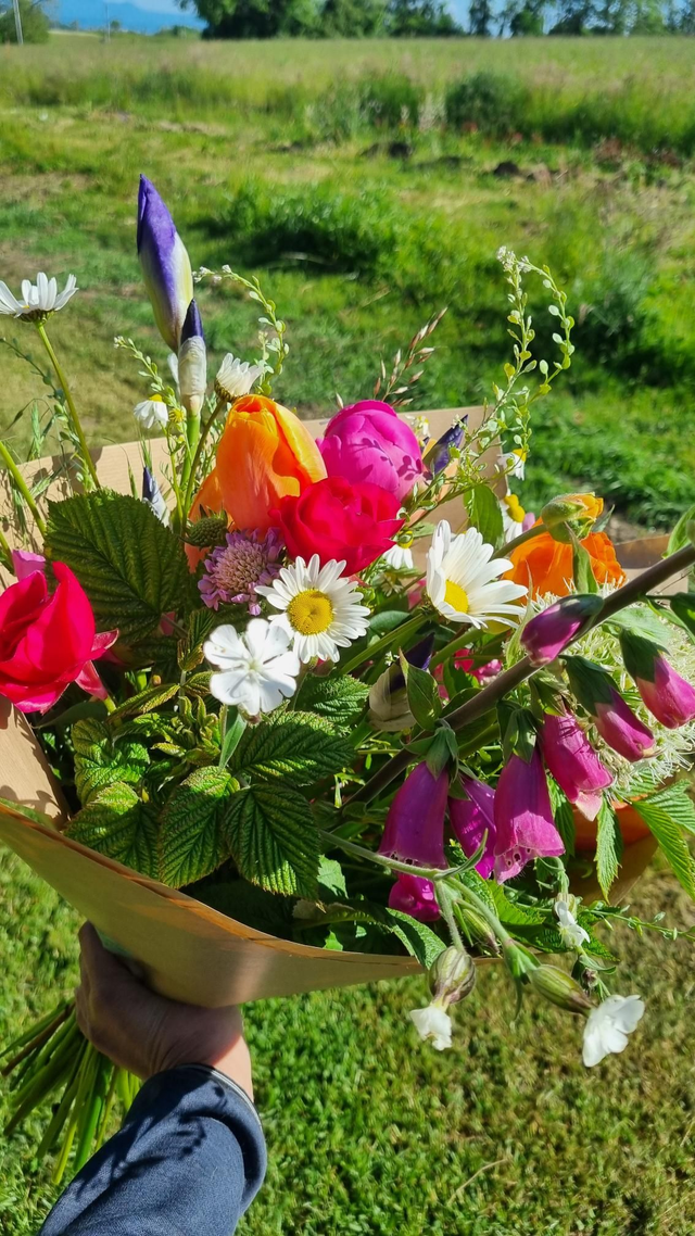 Abonnement bouquets Printemps 2026