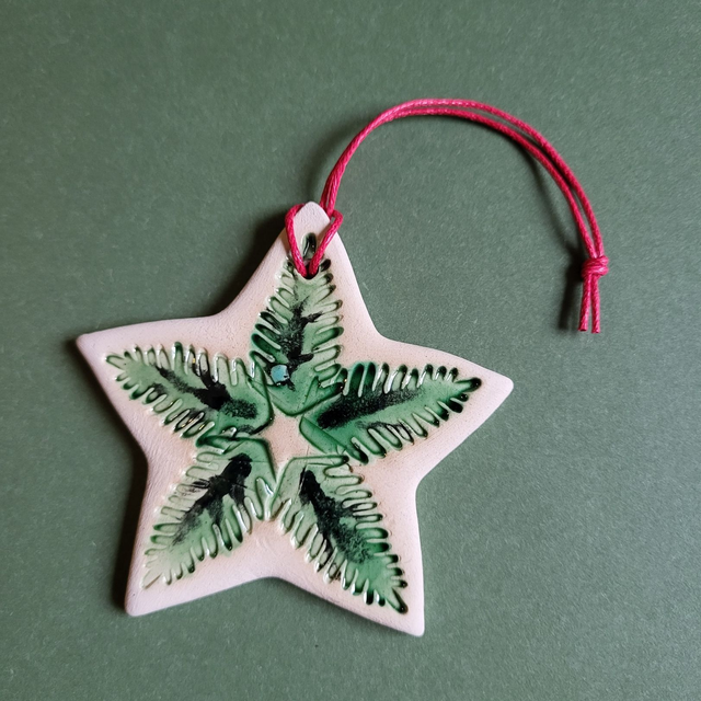 Festive Fir Duo - Wreath & Star Decoration
