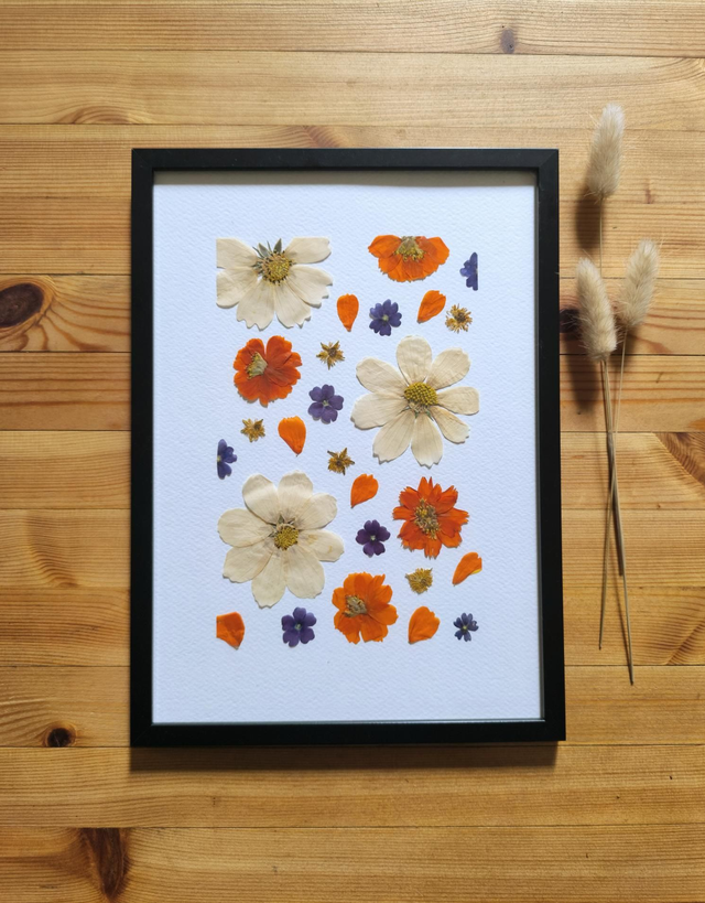 Herbier d&#039;Art A4