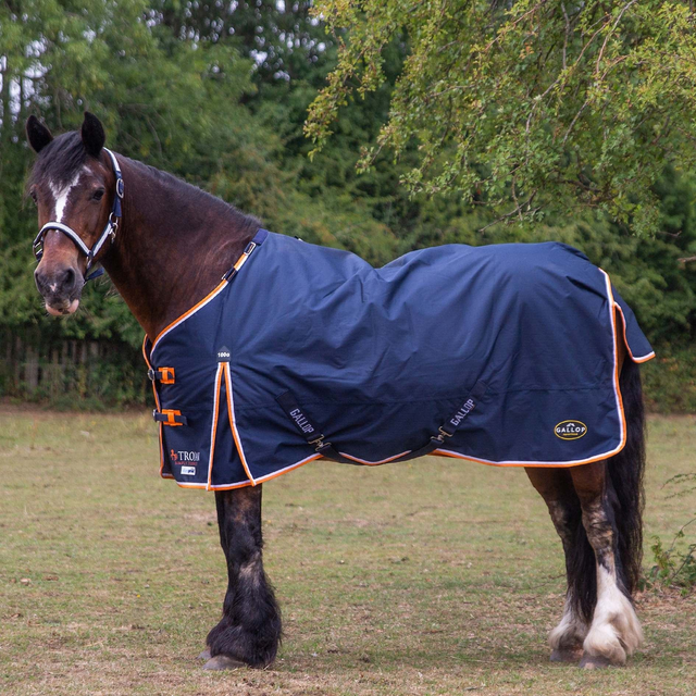 Gallop Trojan Duraproof 100g Turnout