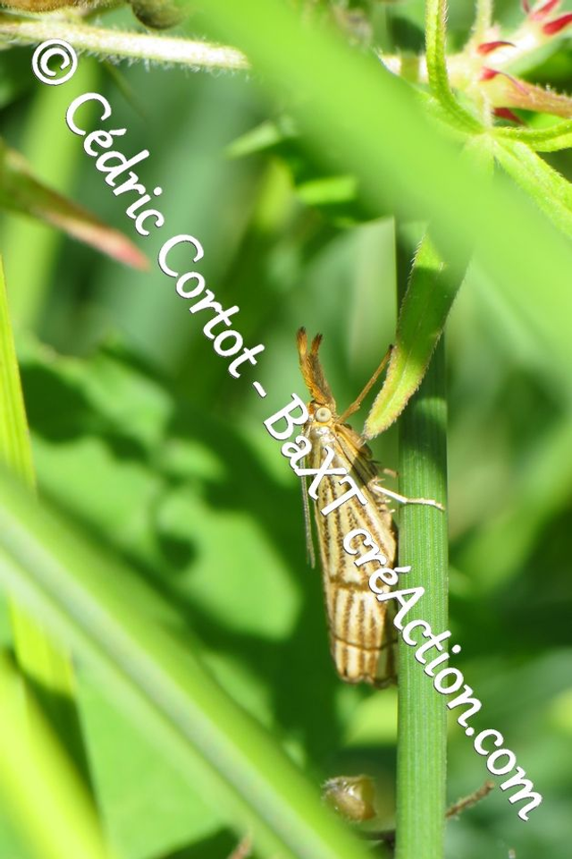 Impression sur alu dibond - Le petit monde du Vivant (ref 5843)