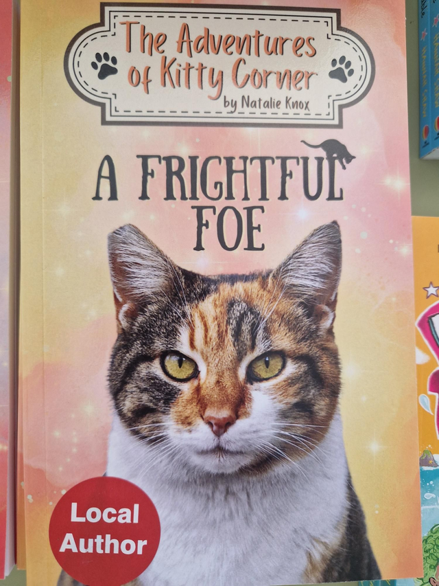 (Age 7+) The Adventures of Kitty Corner book 4 - A Frightful Foe