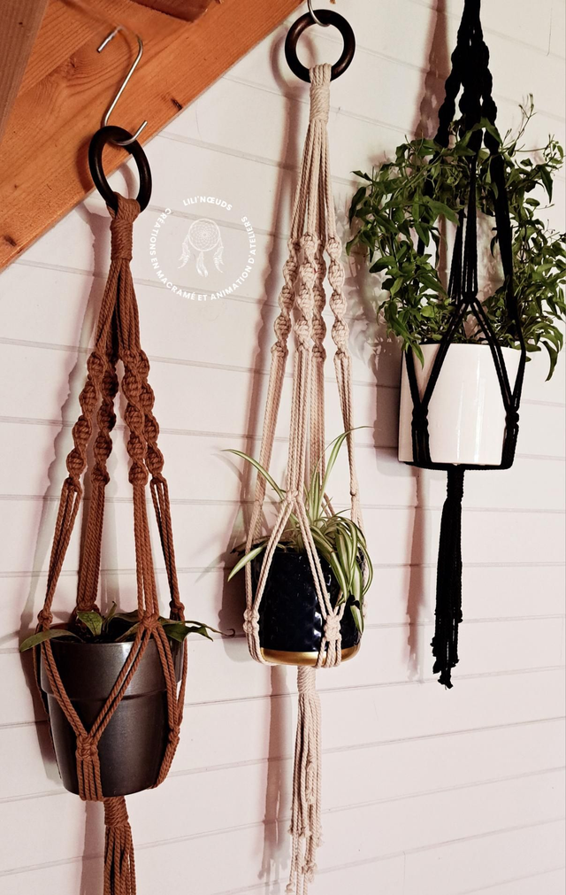 Suspension pour plantes 