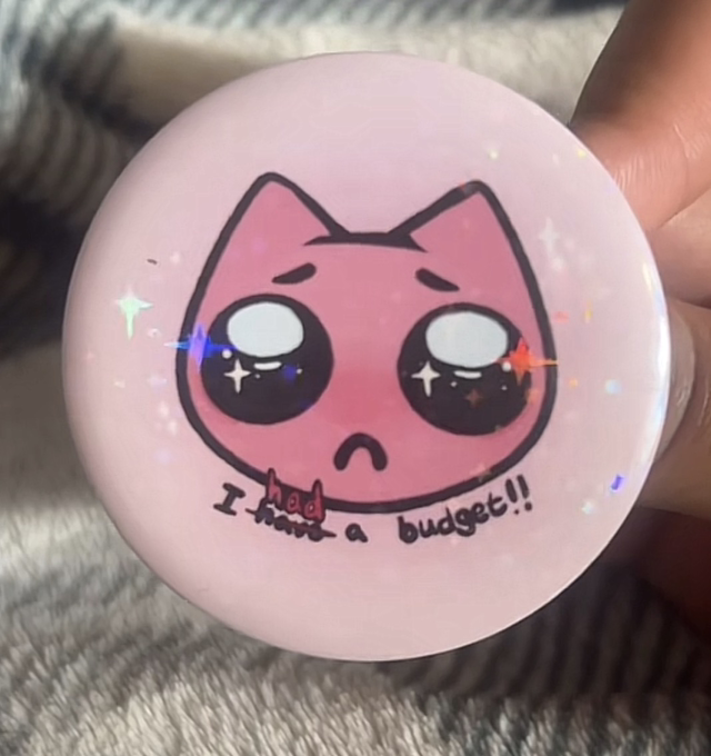 i had a budget??? pin 