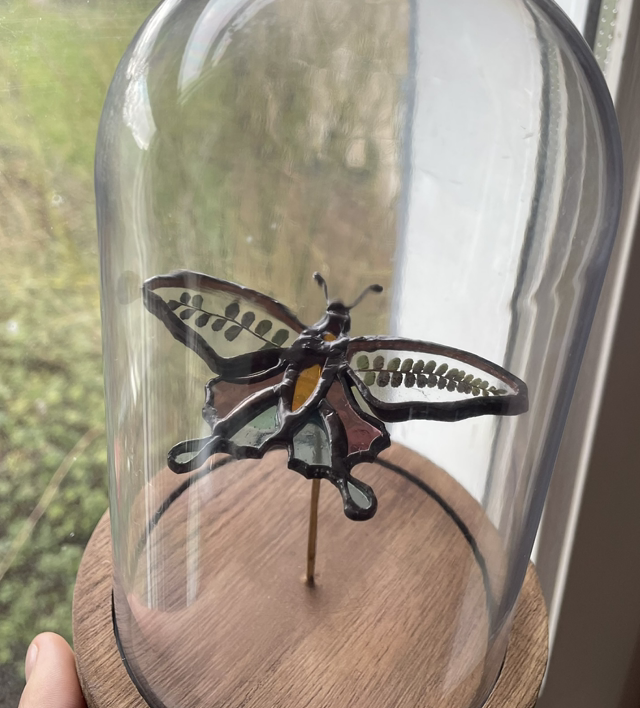 Rêve Papillon – Machaon