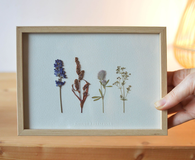 Tableau 13*18 cm - Petit herbier champêtre