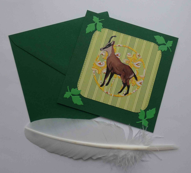 Un joli chamois
