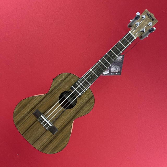 Ukelele tenor acústico eléctrico Kala KA-PWTE, nogal del Pacífico