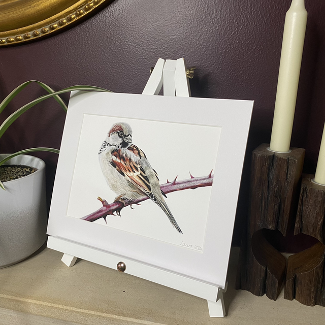 Sparrow Fine Art Print